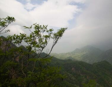 泰山之巅的风景图片