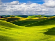 一望无际的草原清新翠绿自然风景