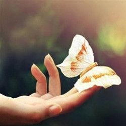 女生与蝴蝶互动的唯美图片